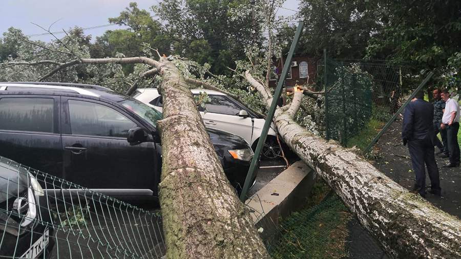 Разрушительная стихия: последствия урагана в Тверской и Курской областях