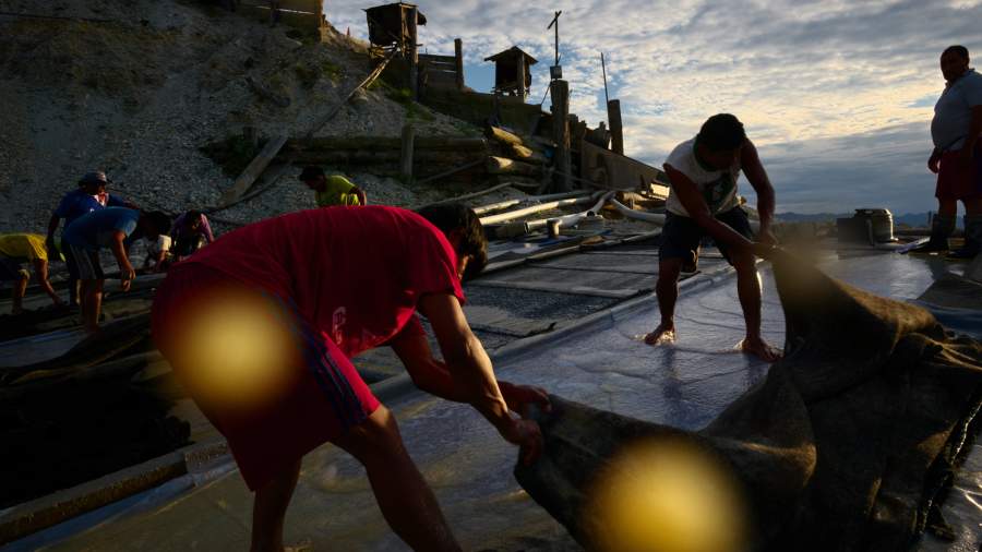 Драгоценная жизнь: как добыть золото в джунглях