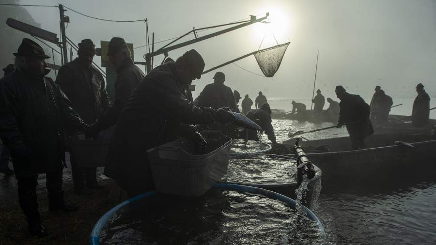 Богатый улов: как прошла рыбалка на фамильном пруду Розенбергов