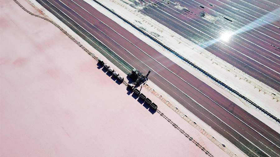 Приятный осадок: как в Крыму собирают розовую соль