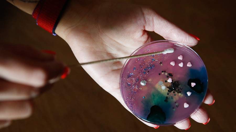 Грибная поляна: как заработать на плесени