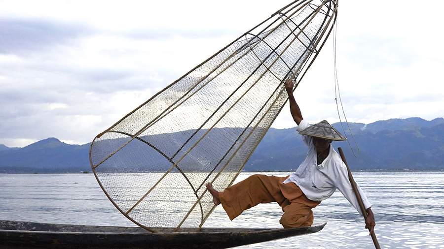 Кругом вода: как вырастить кабачки в озере