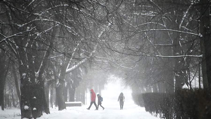 Полный завал: Москву накрыл рекордный снегопад