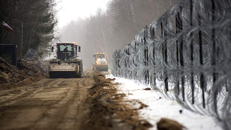 Граница разума: как Польша строит стену в Беловежской Пуще