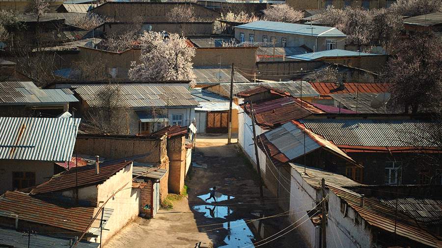 Свои люди: что можно найти в Старом Ташкенте