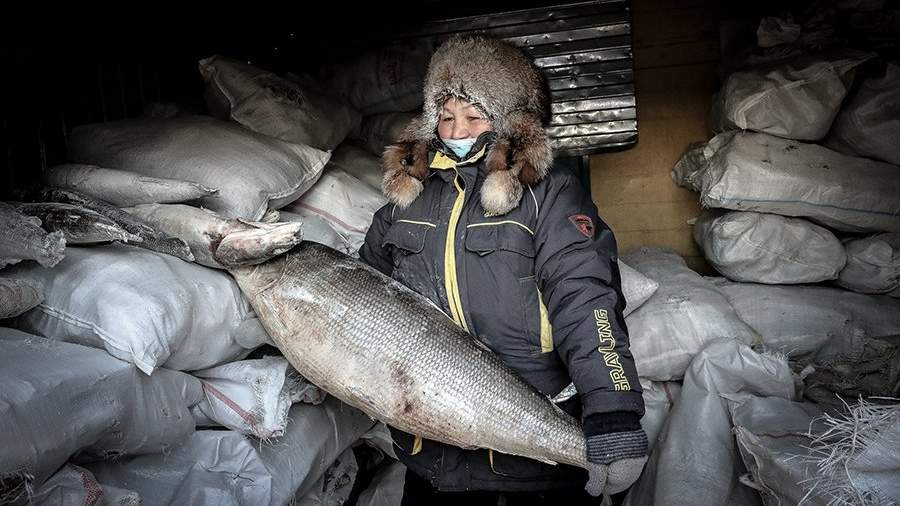 Душевный холод: чем заняться в многолетней мерзлоте