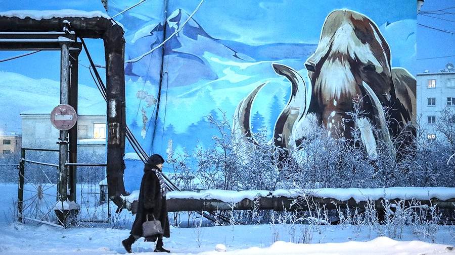 Снежный дом: как завести хозяйство на полюсе холода