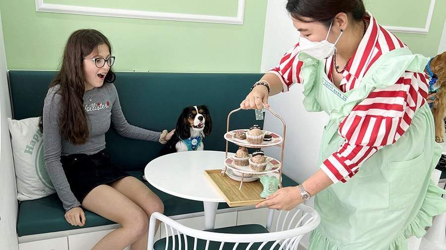 Животный пир: как готовят кофе для собак