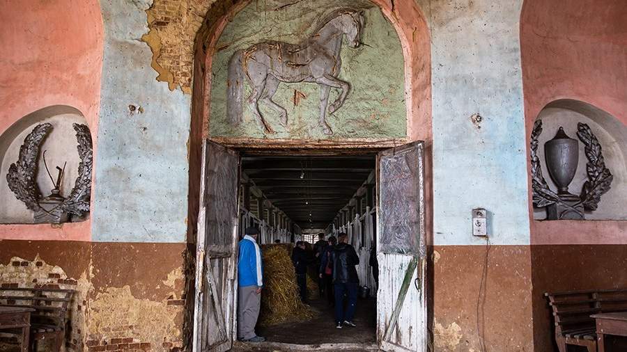 Крепкая порода: как разводят племенных лошадей в ЛНР