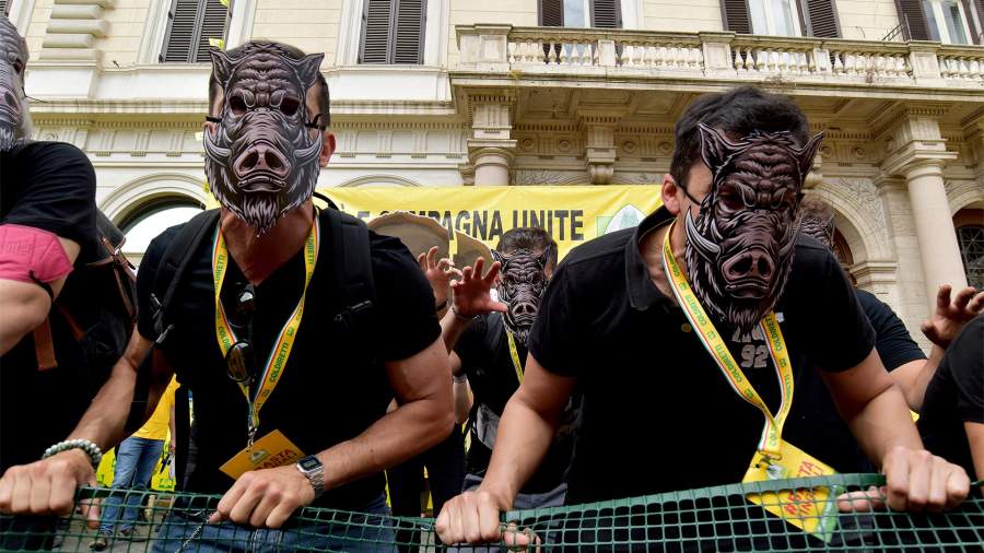 Дикий беспорядок: Италию атакуют кабаны