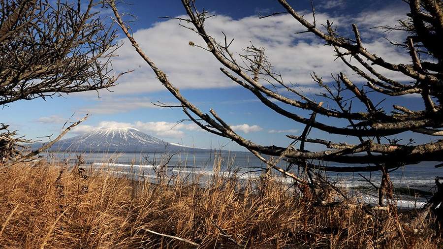 Остров сокровищ: как найти диких мустангов на Кунашире