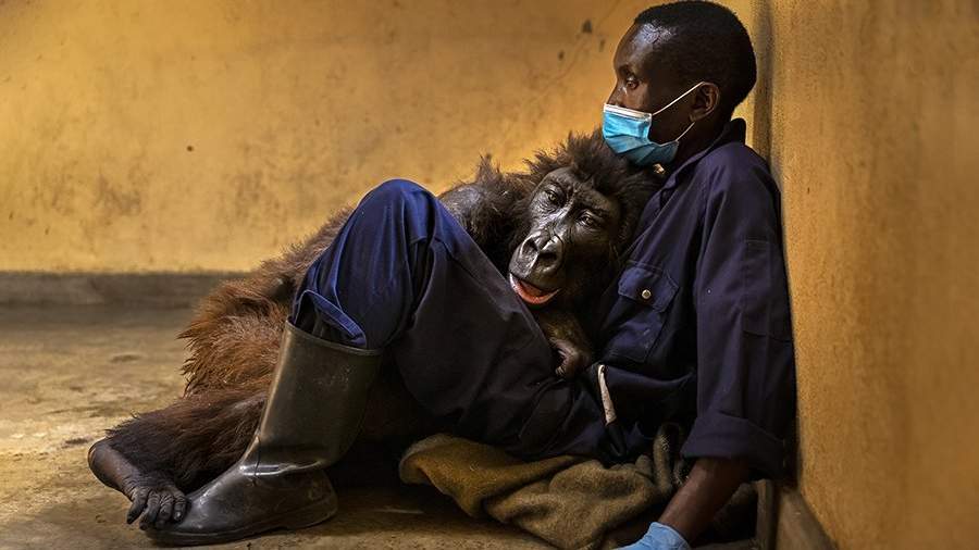 Естественная красота: чем отличились лучшие фотографы-натуралисты