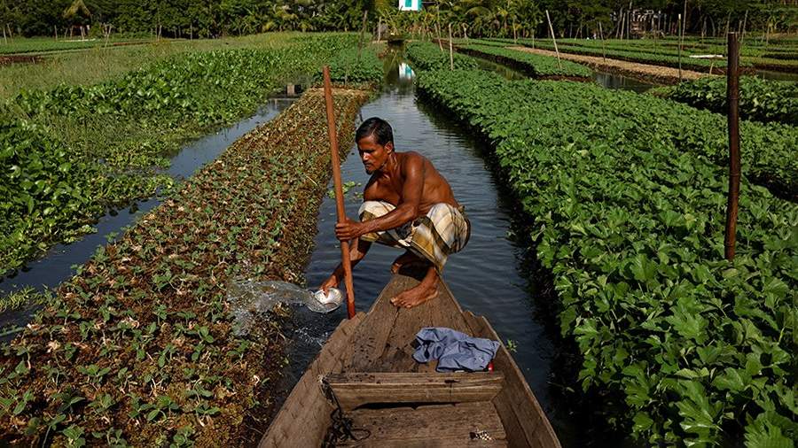 Удачная посадка: как обустроить плавучий огород