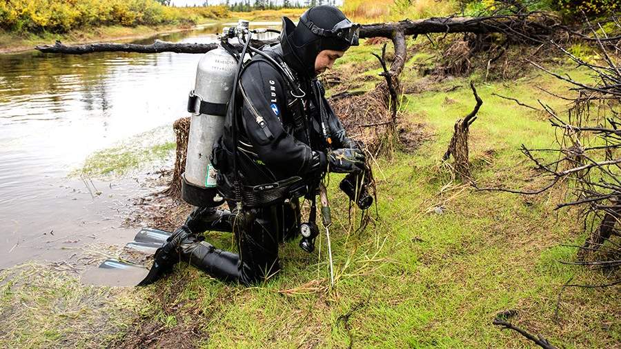 Знатные кости: как найти бивни мамонта в вечной мерзлоте