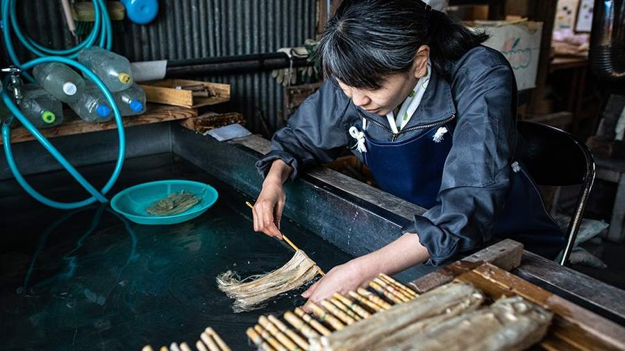 Бумажные носители: как делают васи