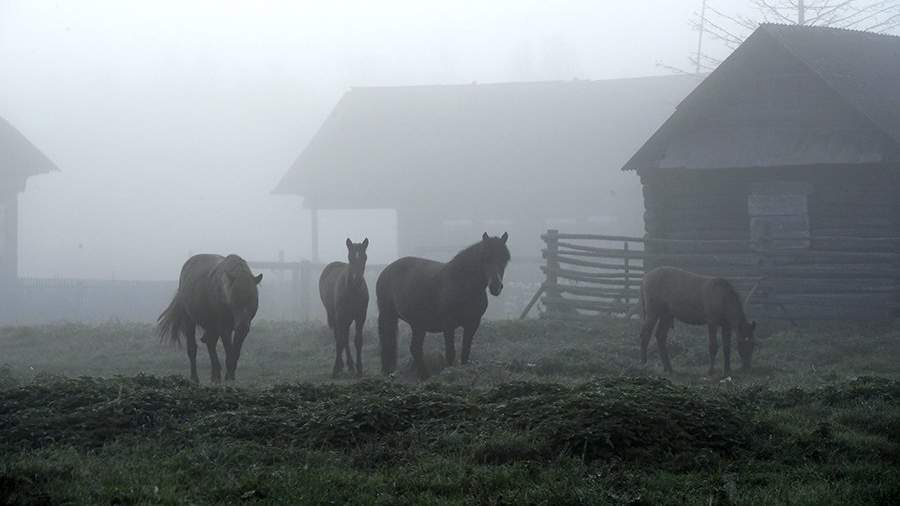 Затерянный мир: чем заняться в Заболотье