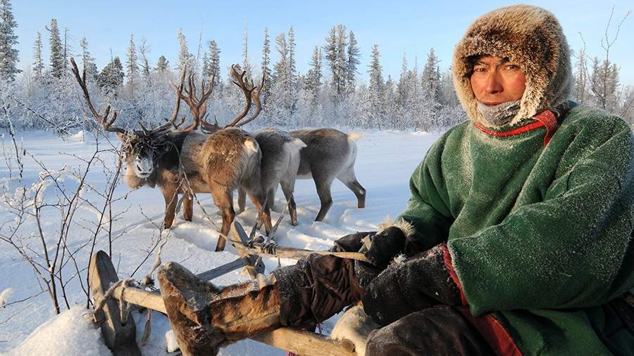 Полная дичь: как живут лесные ненцы