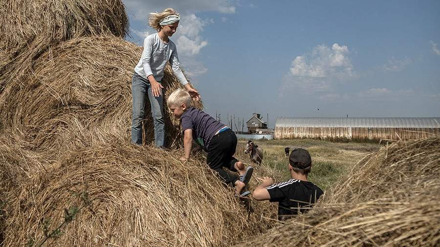 Земное притяжение: почему немцы возвращаются в Россию