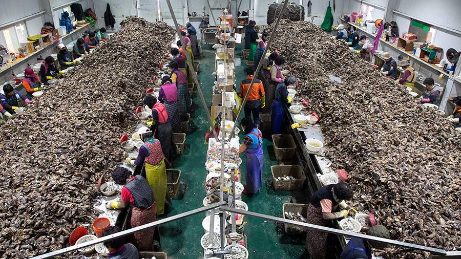 Добрая дюжина: как корейцы готовят устриц