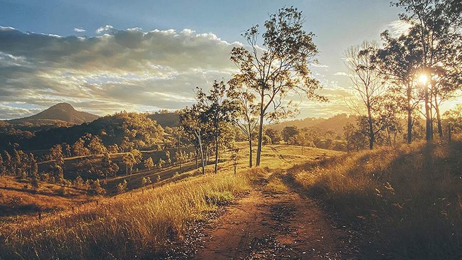 Случайный взгляд: как снять шедевр на смартфон