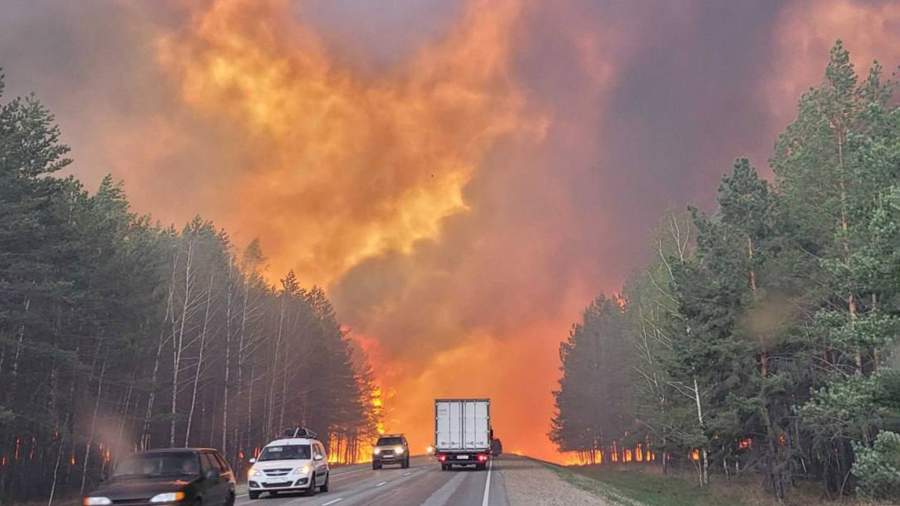 Огненный ветер: Курганскую область охватили лесные пожары