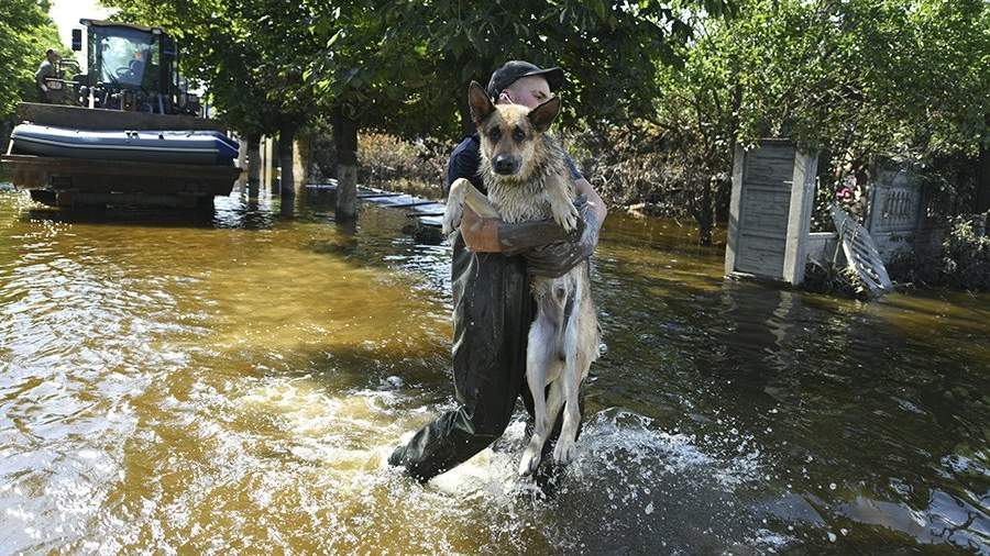 События недели в фотографиях: ПМЭФ, йоги и таксисты