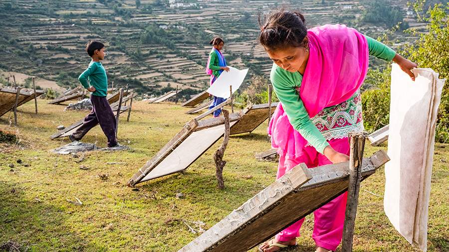 Кора денег: как делают бумагу в Непале