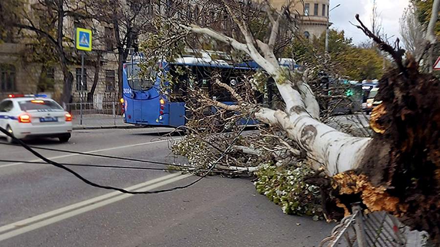 Вести о буре: в Крыму бушует циклон