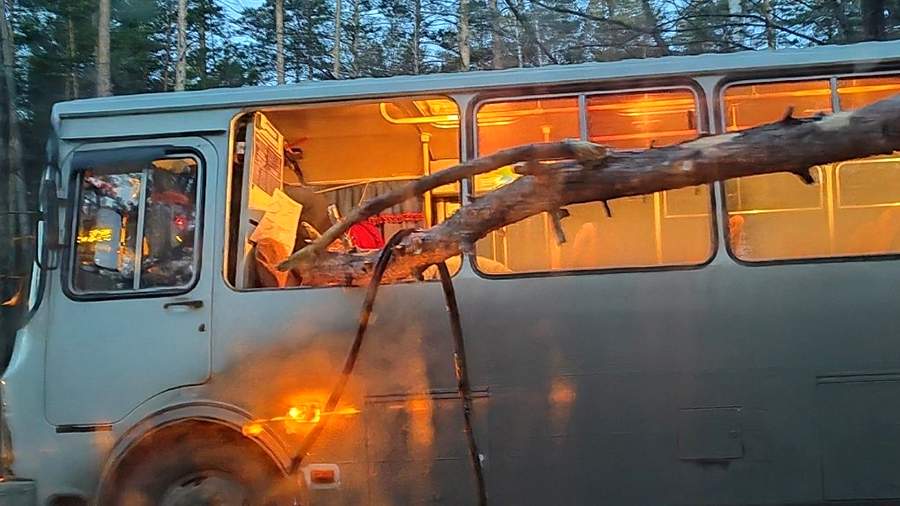 Ветер северный: по Сибири пронесся мощный ураган