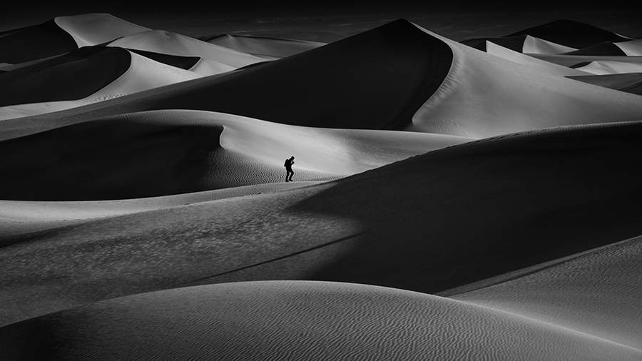 Вне рамок: лучшие фотографии на свободную тему