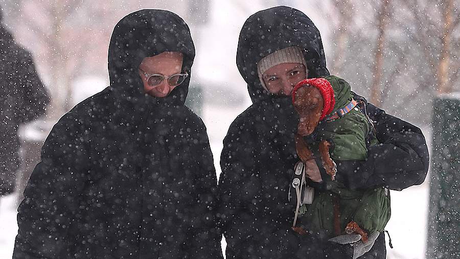 красивая девушка с гитарой. мелодии друзей 69. снег падает на ладонь. красивые девушки в зимней одежде. снег поет женщина.