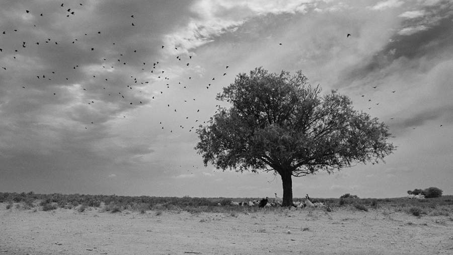 Пески забвения: жизнь в Ногайской степи
