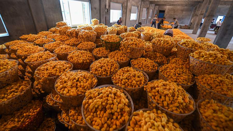 Малышка на миллион: как в Китае производят «золотой кокон»