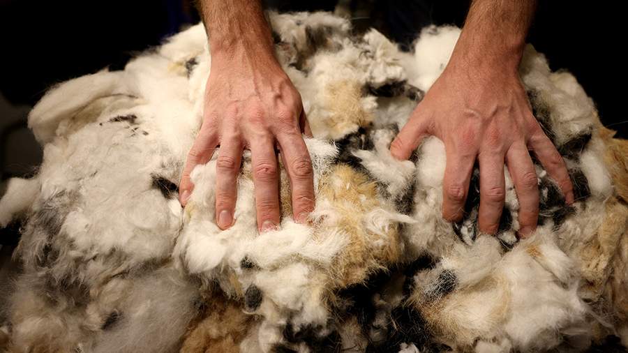 Засор мечты: как парикмахеры помогают экологии