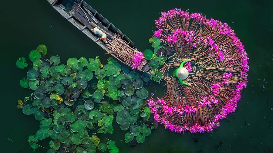 Свежий взгляд: победители конкурса фотожурналистики имени Андрея Стенина