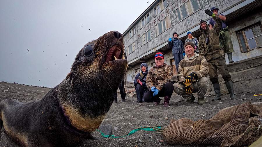 Сачок для котика: как спасают морских обитателей на Сахалине