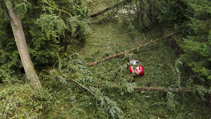 События недели в фотографиях: шторм в США, протесты в Индии, выставки в России
