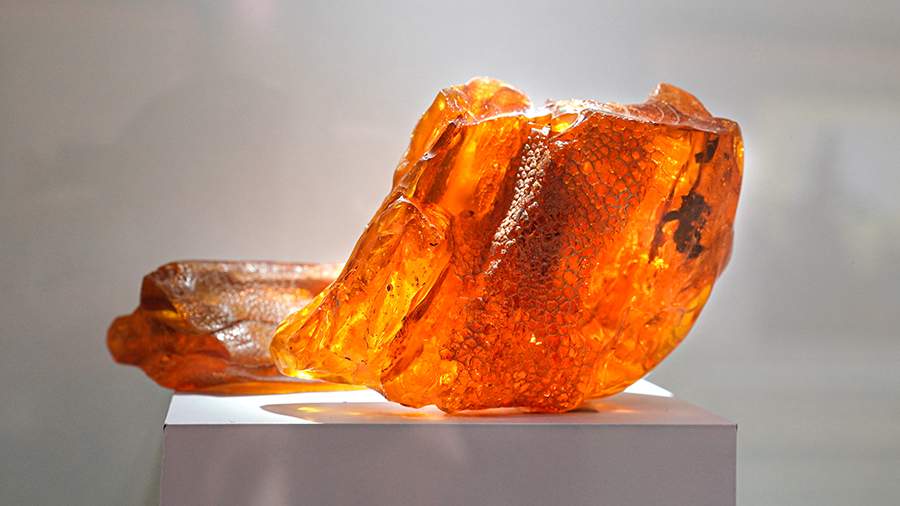 Природное богатство: как добывают янтарь