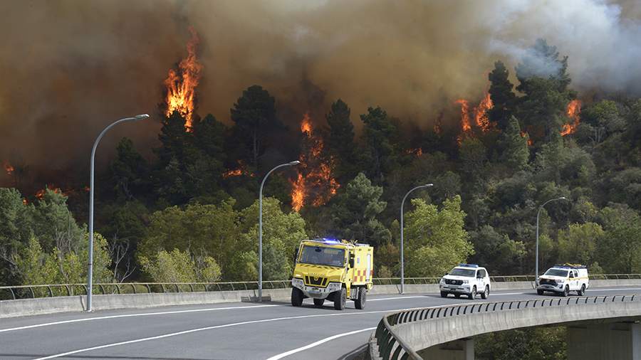 События недели в фотографиях: финал «Интервидения-2025», пожары в Испании, протесты во Франции