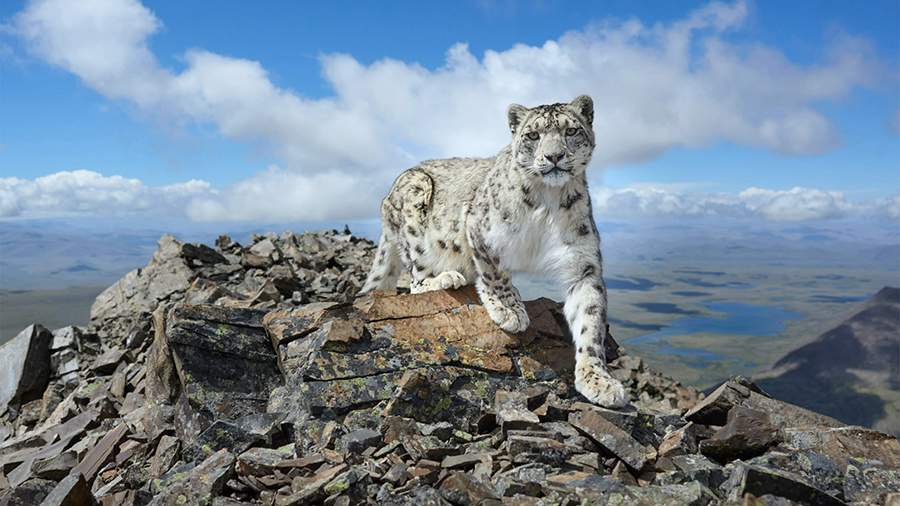 Самая красивая: объявлены победители фотоконкурса от РГО