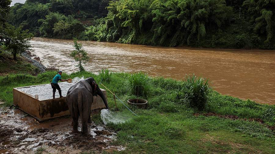 Опасные глубины: как добыча полезных ископаемых отравляет реки Юго-Восточной Азии