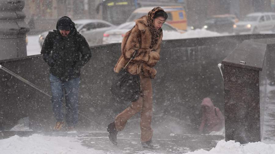 Метельный дух: как Москва справляется с рекордным снегопадом
