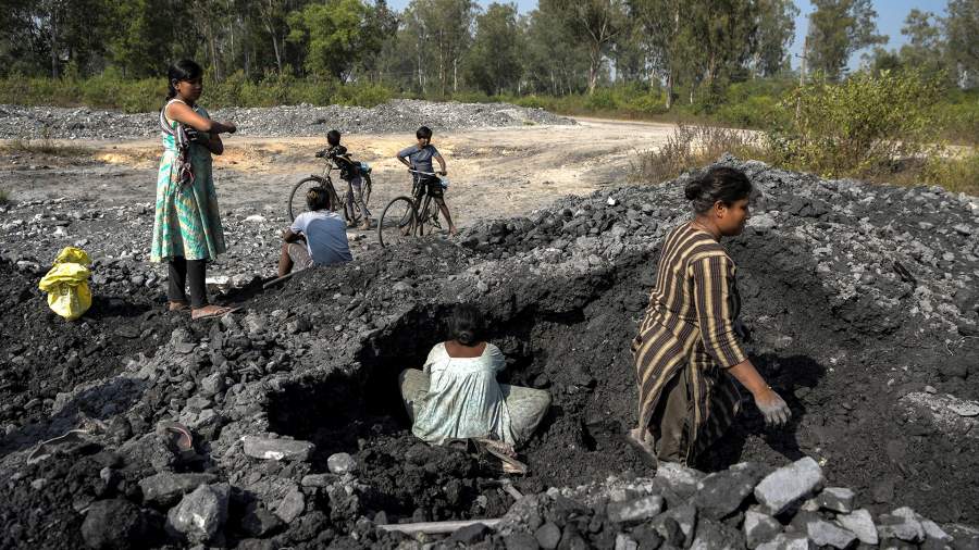 От карьера до экопарка: как в Индии возрождают промышленные территории