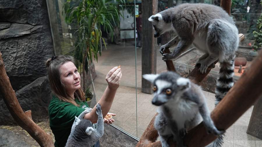 Следы диковинных зверей: как выглядит жизнь Тульского экзотариума