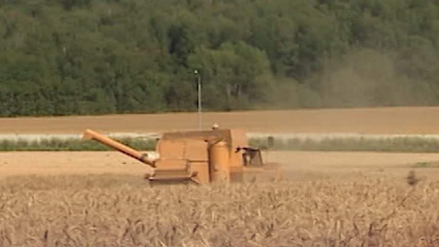 «Хлебное перемирие» в Донбассе объявлено до 31 августа 