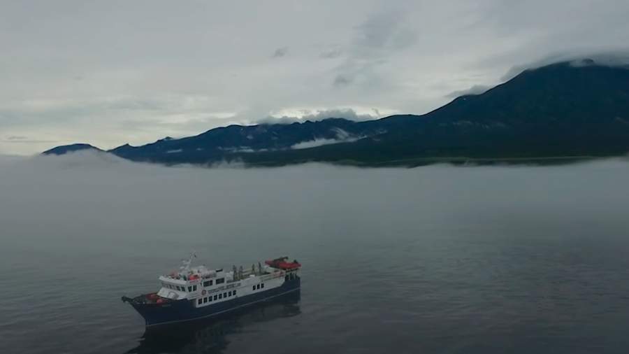 Путин рассказал о будущем Курил в случае перехода к Японии 