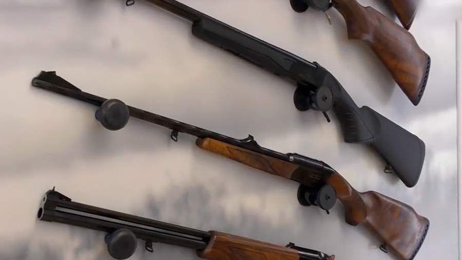 Россиян с судимостью за тяжкие преступления могут лишить права на оружие