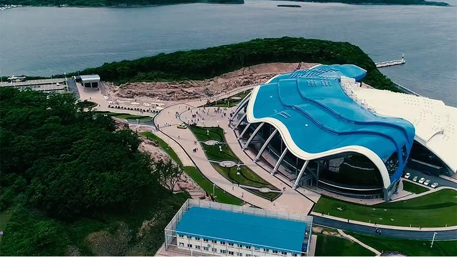 Директор Приморского океанариума подал в отставку