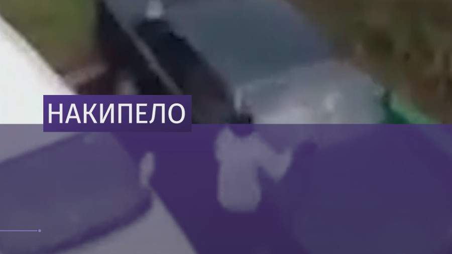 В Сибири женщина сковородой разбила авто бывшего мужа