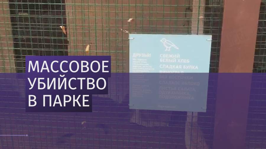 Студент убил стаю фазанов в парке Горького